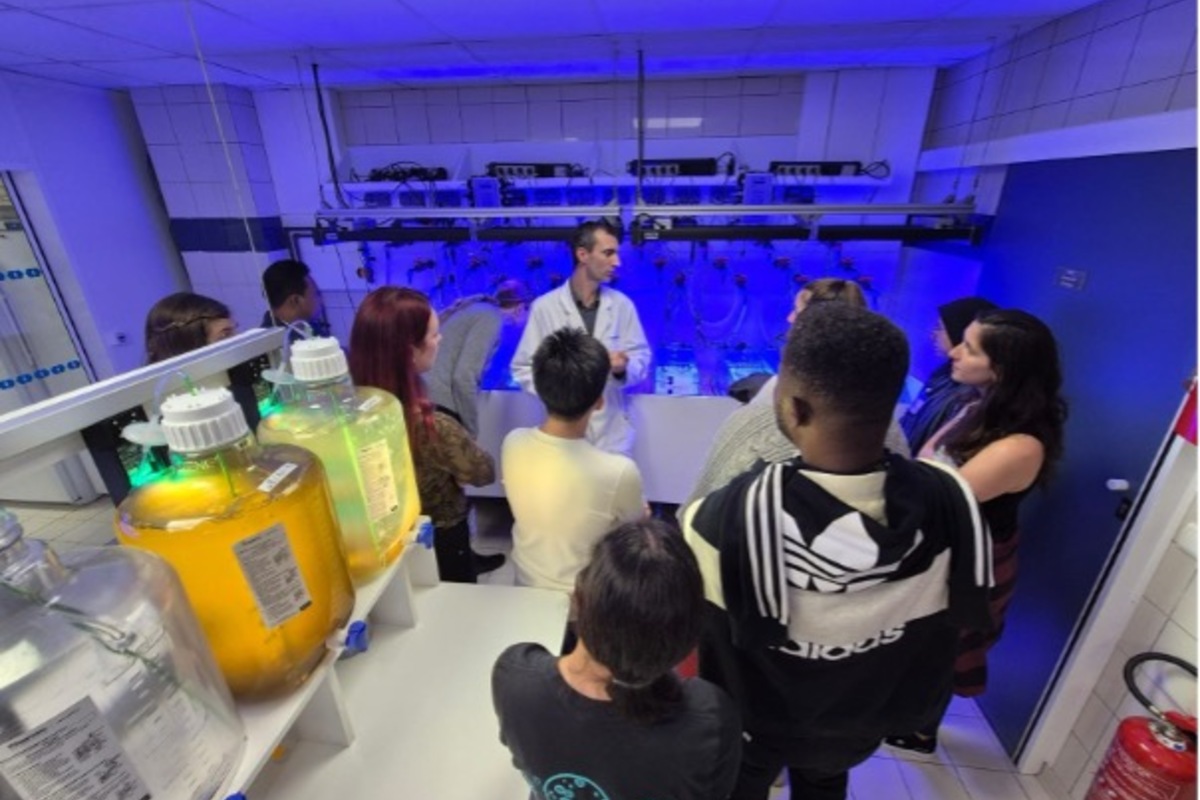 IAEA’s Ocean Acidification International Coordination Centre Trains Scientists to Evaluate Impacts of Ocean Changes on Marine Organisms