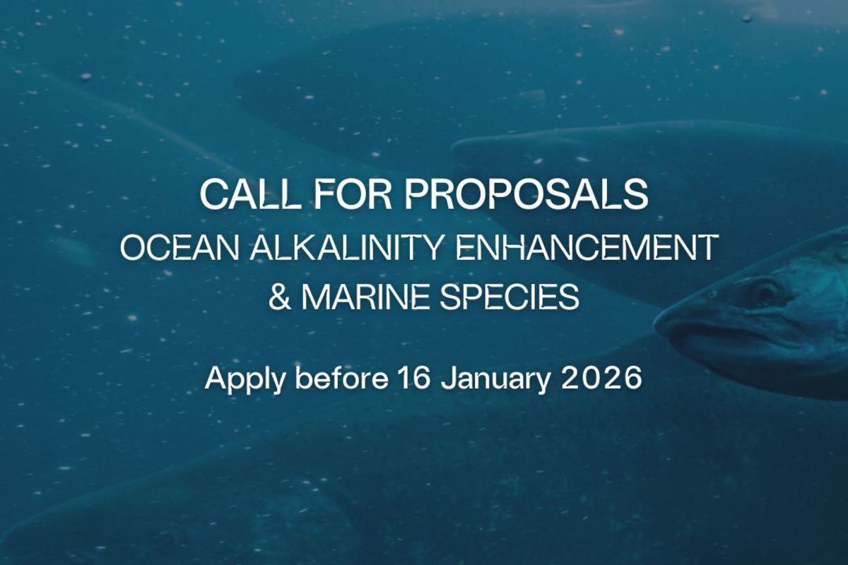 The Prince Albert II of Monaco Foundation and Carbon to Sea Initiative launch a call for proposals to study the impact of ocean alkalinity enhancement (OAE) on marine life