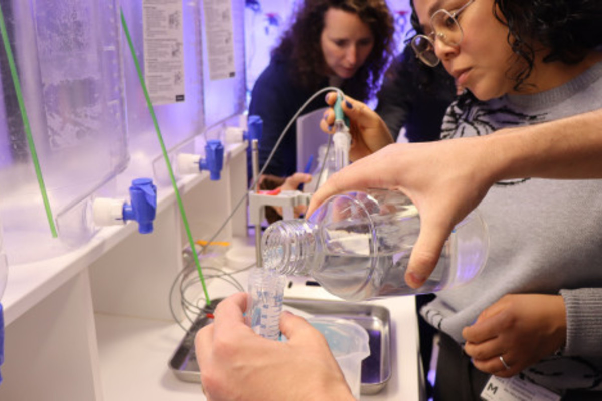 IAEA Hosts Training Course on Biological Impacts of Ocean Alkalinity Enhancement