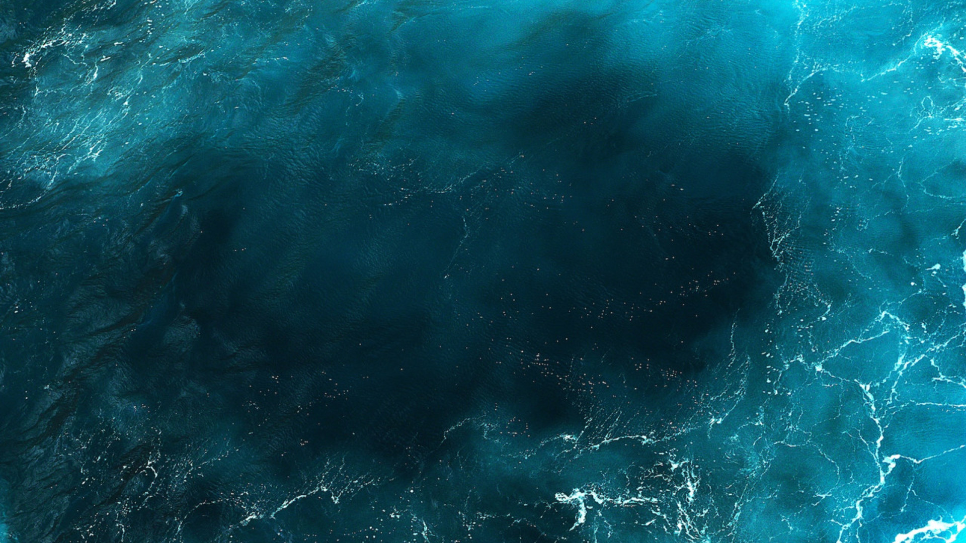 Ocean Solutions Initiative