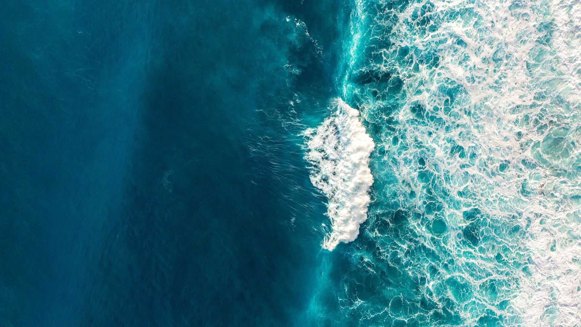 Ocean Acidification Reference User Group 