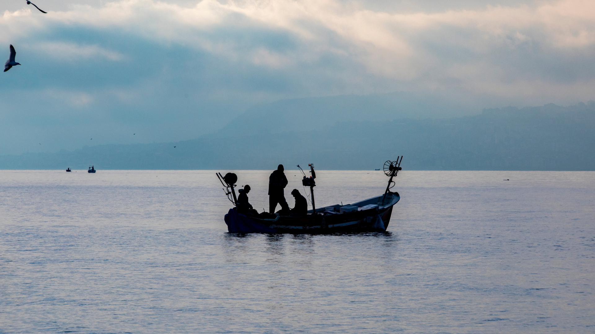 Response of Key Ecosystem Species to Ocean Alkalinity Enhancement in the Pacific region 