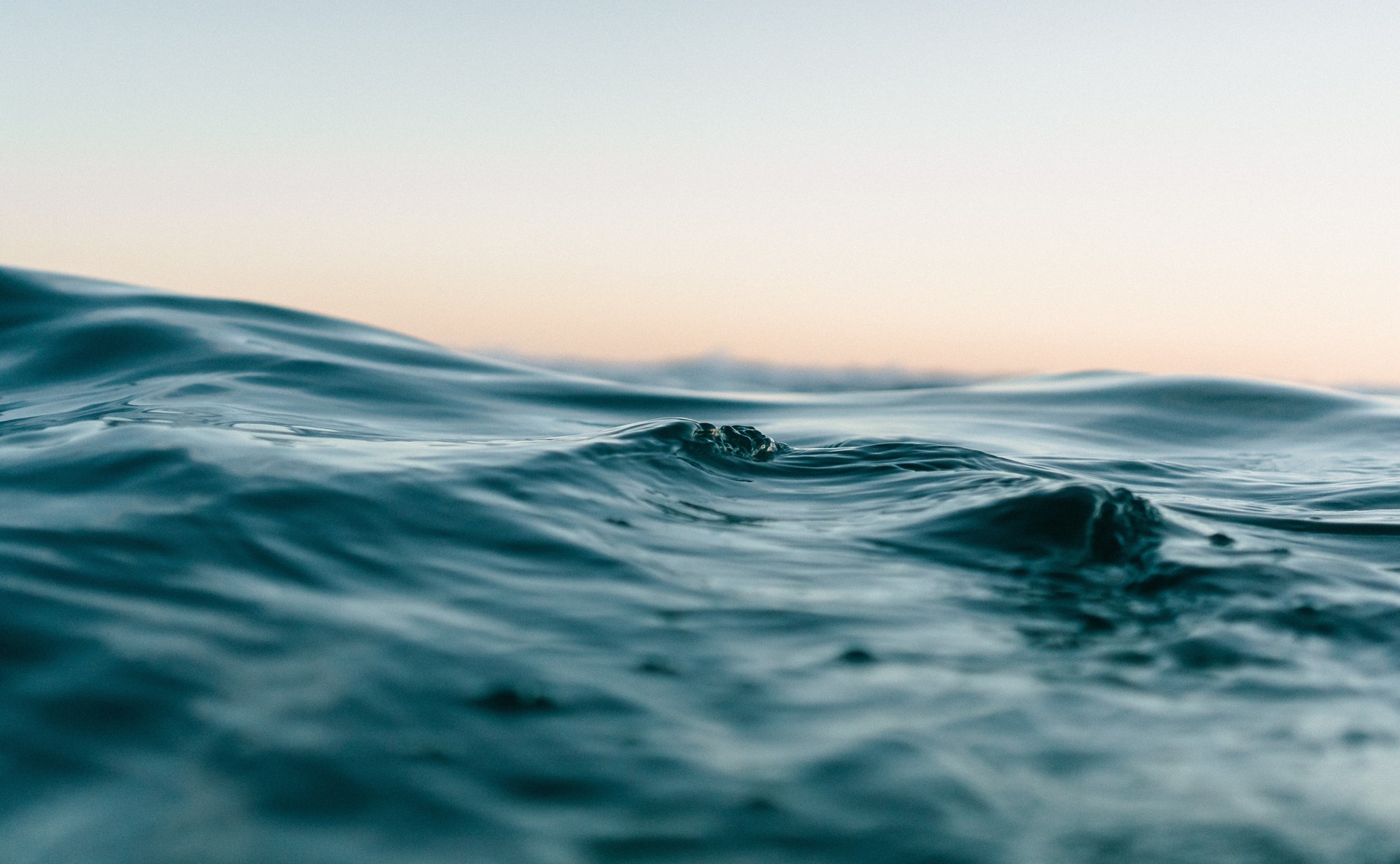 Ocean Acidification and other ocean Changes – Impacts and Solutions